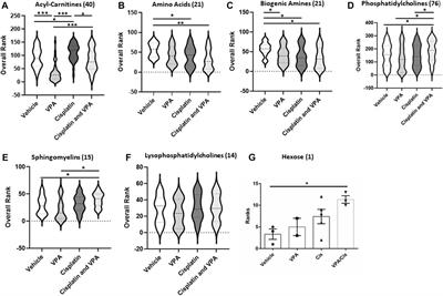 Metabolomic profiling of triple negative breast cancer cells suggests that valproic acid can enhance the anticancer effect of cisplatin